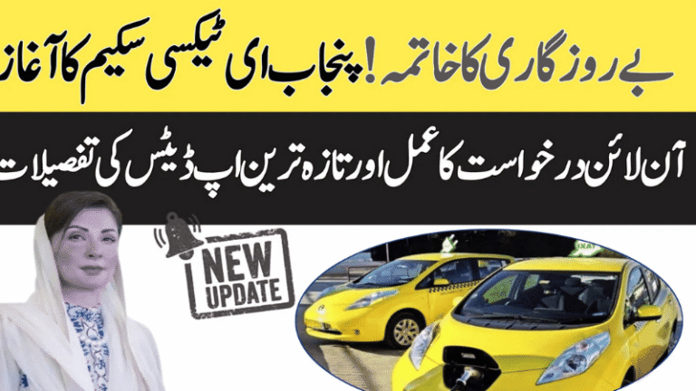 Electric Taxi Punjab initiative launched by CM Maryam Nawaz