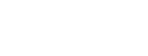 mtmispunjaab